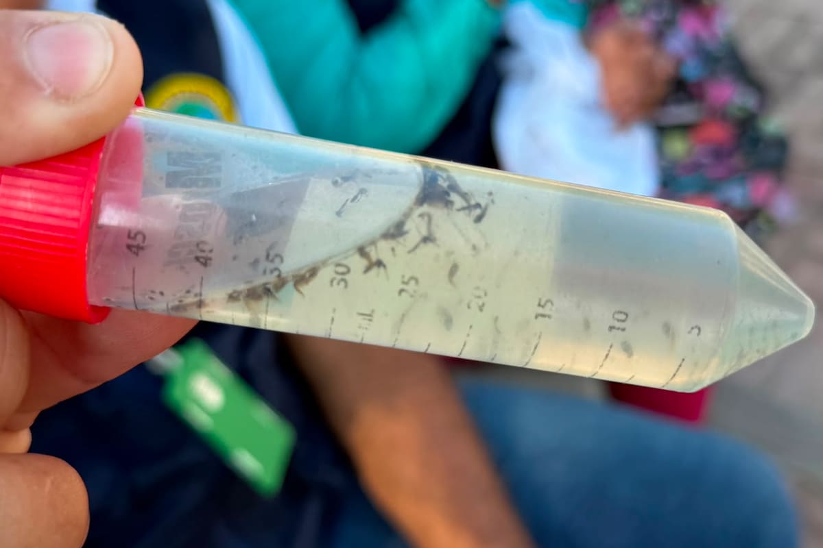 Casos de dengue bajan en Cartagena: balance 2026 del DADIS