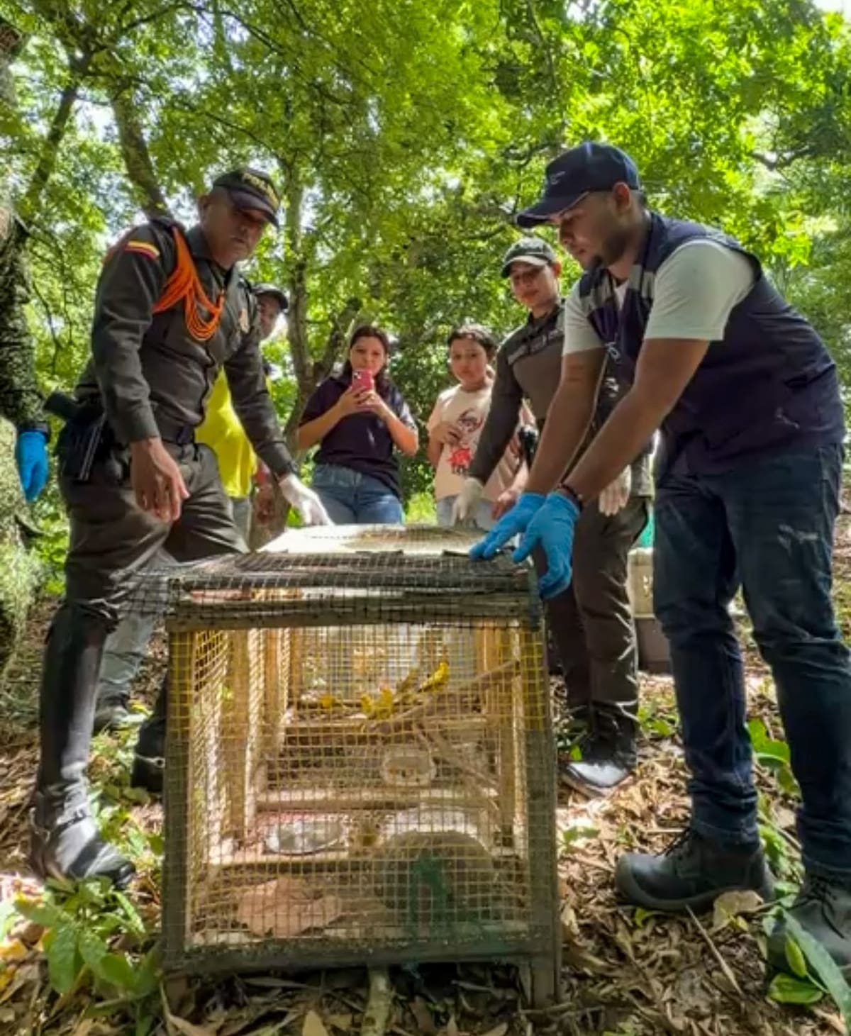 Cartagena refuerza la protección de la fauna silvestre con reubicación de animales. // Foto: cortesía - Policía Nacional