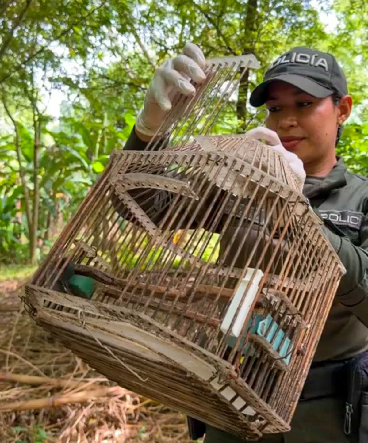 Cartagena refuerza la protección de la fauna silvestre con reubicación de animales. // Foto: cortesía - Policía Nacional
