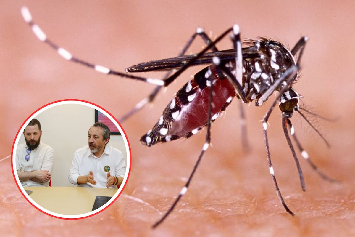 Avanza campaña contra el dengue en Cartagena: hay más de 5 mil casos en 2025