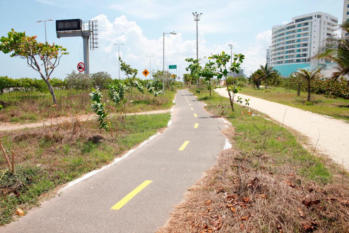 En fotos: Este es el estado de las ciclorrutas de Cartagena