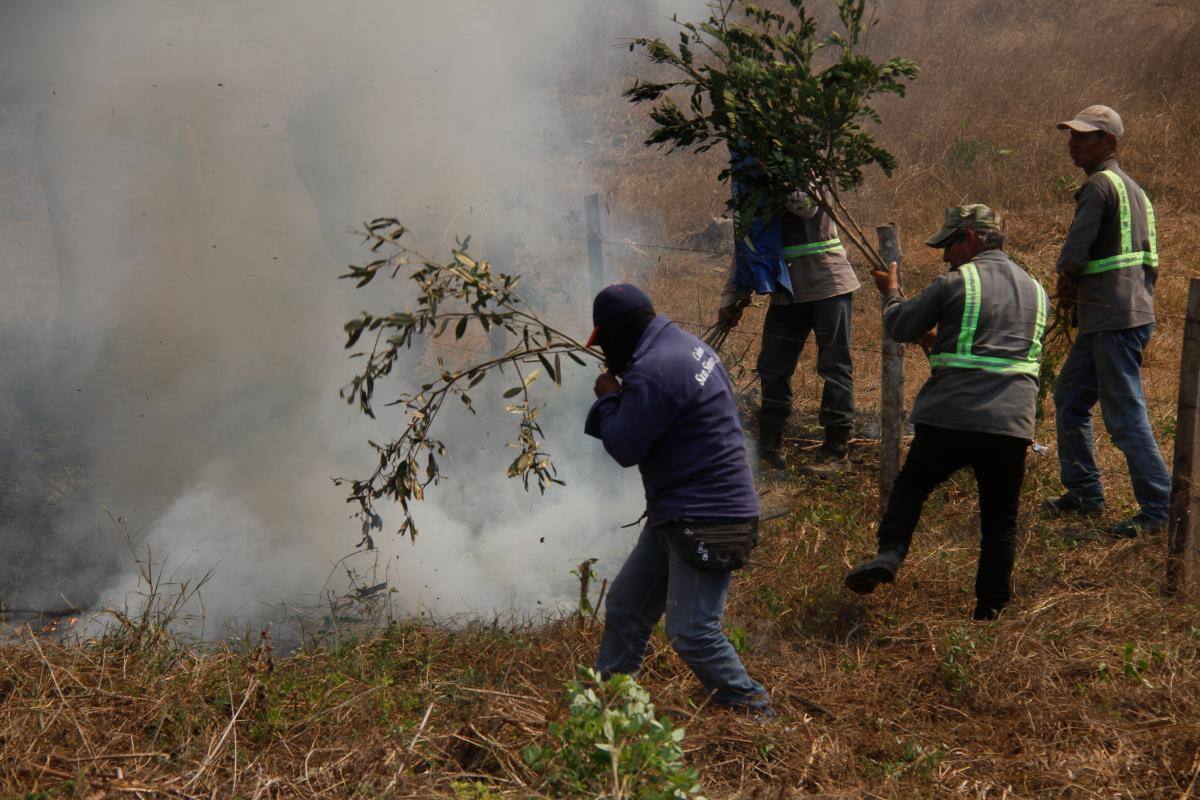 Más de mil emergencias atendidas por los Bomberos en el 2020