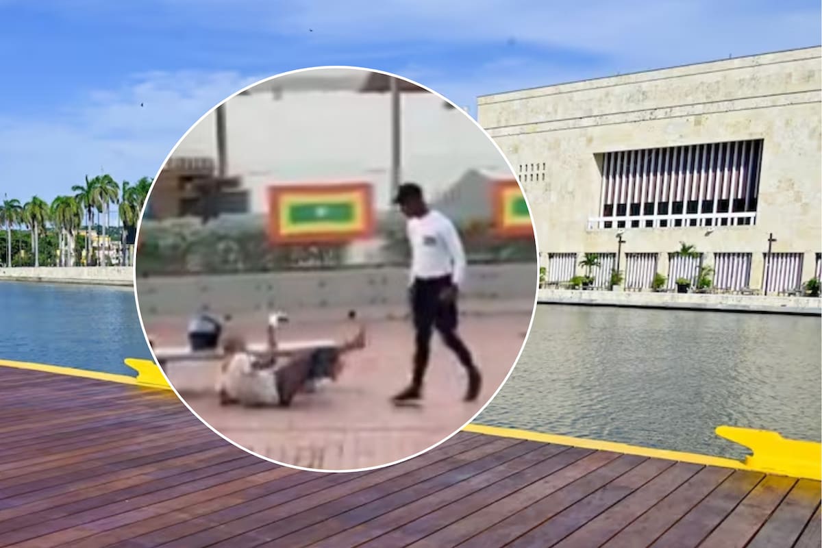 Video: funcionario del Distrito noquea a mujer habitante de la calle
