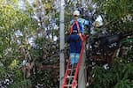 Denuncian robo de energía en conjunto residencial de Soledad, Atlántico