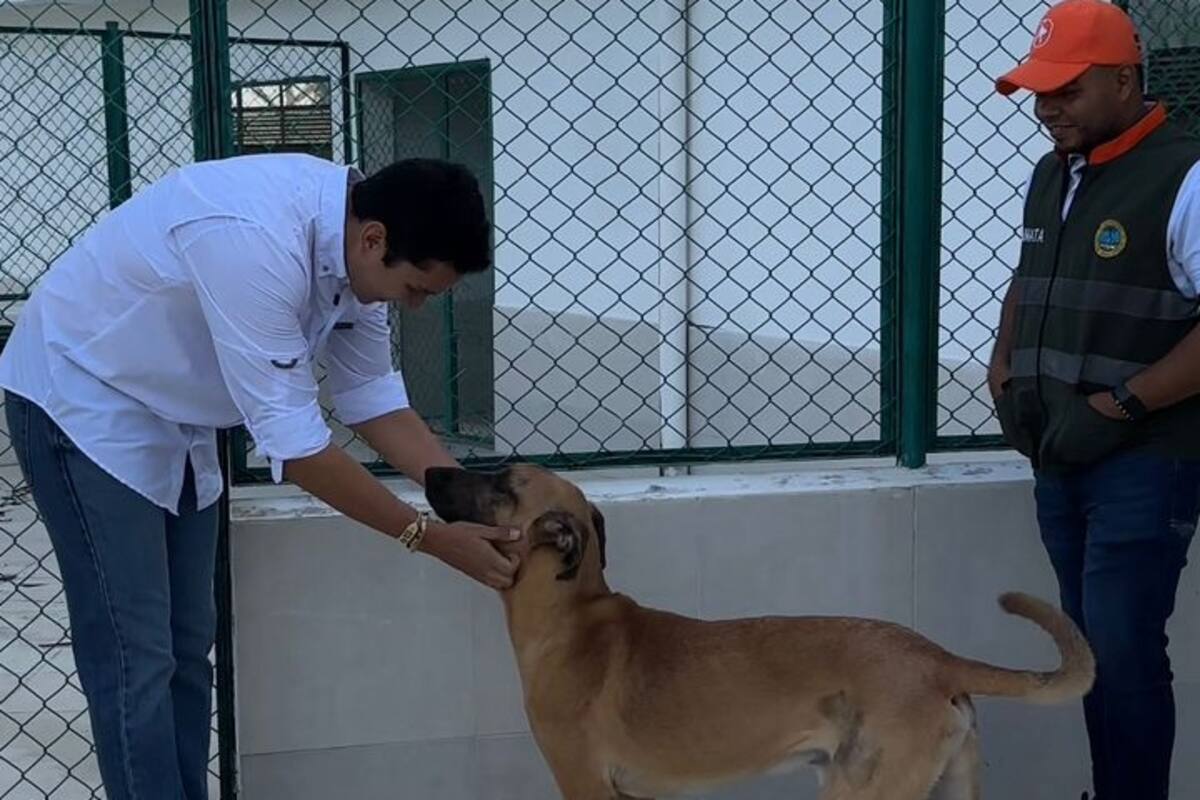 Alcaldía impone primera sanción por maltrato animal en Cartagena