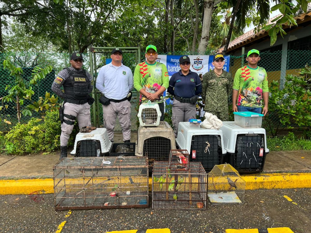 CAV de EPA Cartagena atendió 2.661 animales silvestres durante 2025. // Foto: cortesía - Alcaldía de Cartagena