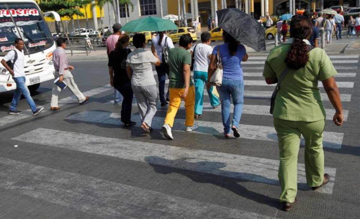 Aunque el DATT dice que retocó las cebras en La Castellana, ya es notorio el deterioro. Aroldo Mestre