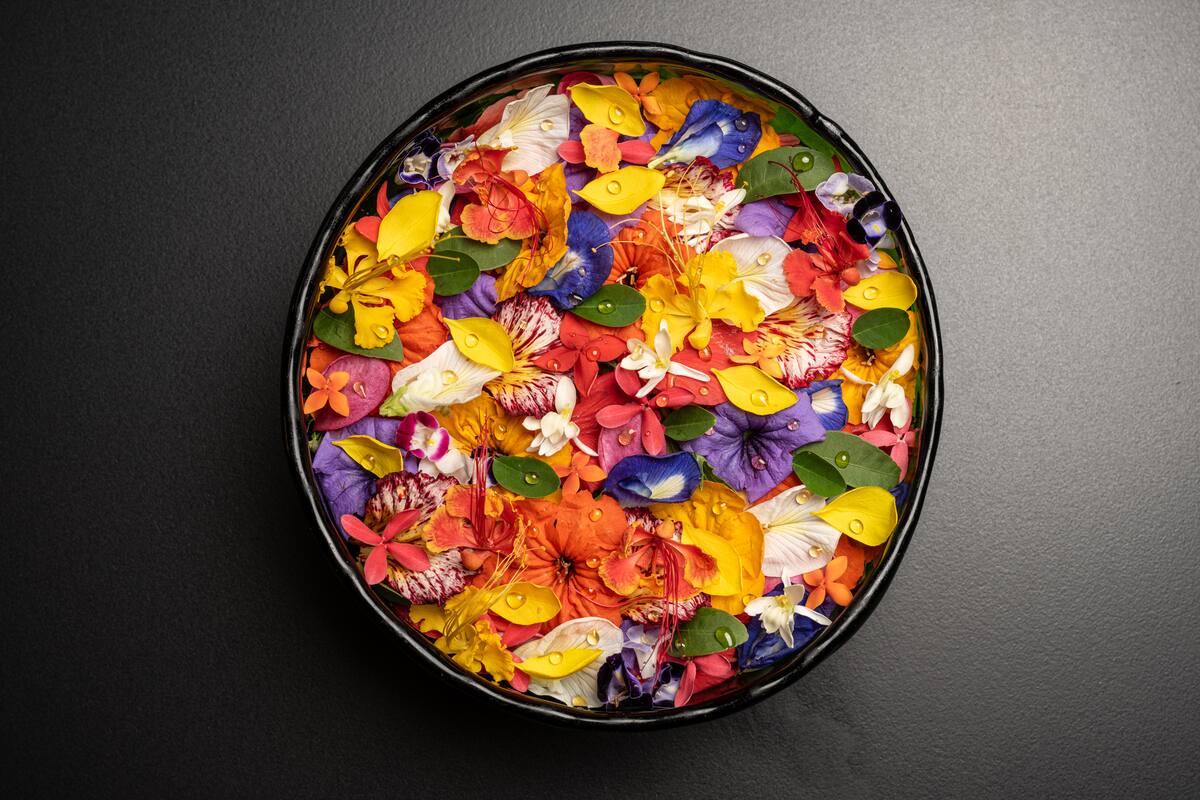 Ensalada de flores caribeñas. //Foto: Jorsie Artahona.