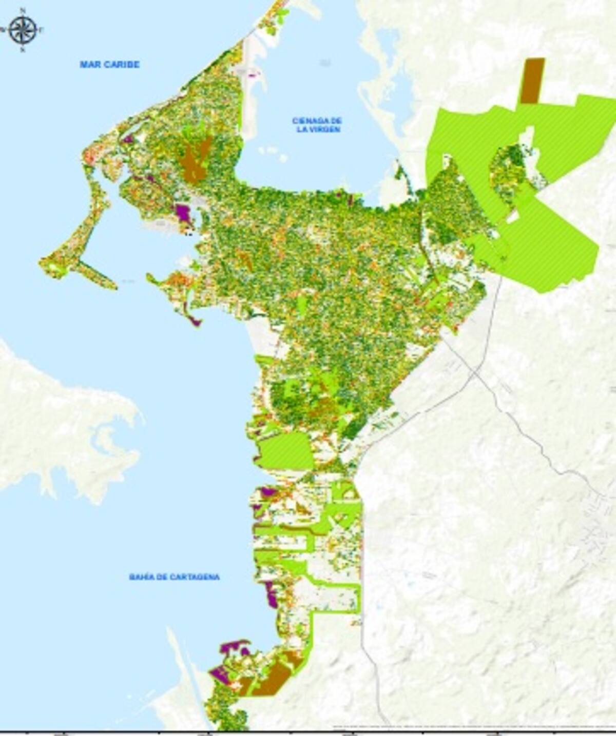 Censo de arbolado urbano en Cartagena. // Imagen cortesía del EPA