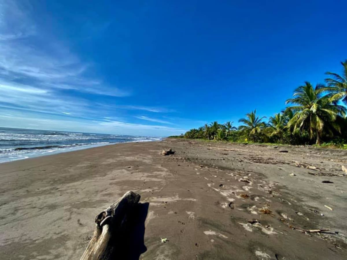 Fue creado para proteger la flora y fauna de esta región, así como para facilitar investigaciones, estudios científicos y propiciar la educación ambiental // Tortuguero Costa Rica.
