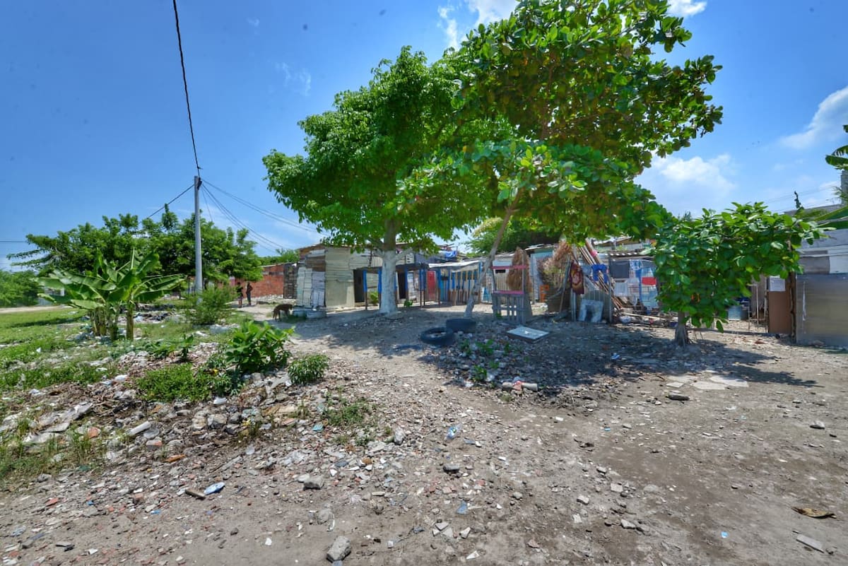 Así se veía antes el sector El Papayal en Chambacú. // Foto: Cortesía - Alcaldía de Cartagena.
