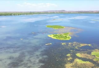 Consejo Comunitario de Rocha: “El deterioro de la ciénaga no es menor”