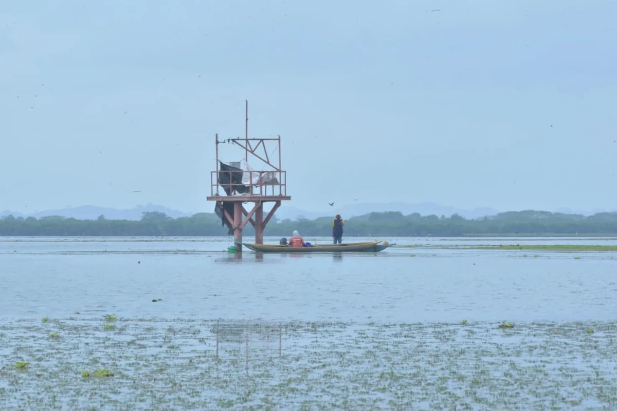 La situación ha afectado actividades como la pesca. // Consejo Comunitario de Rocha