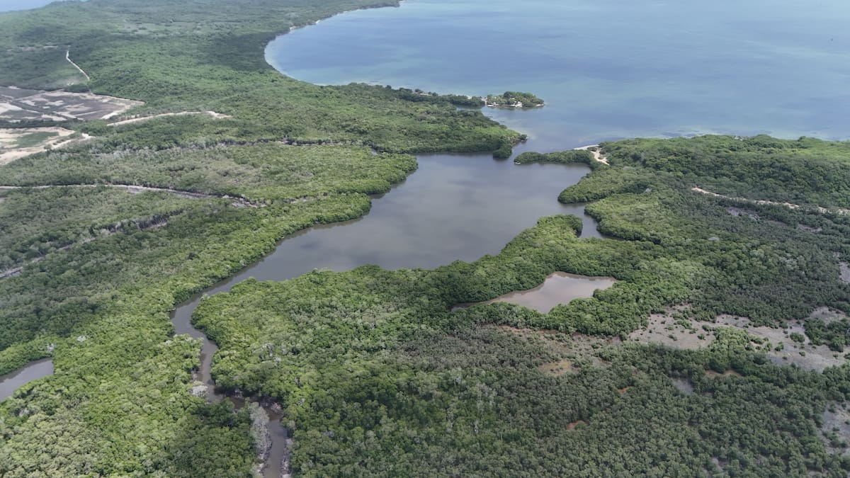 Ciénaga Los Coquitos en Ararca. //Foto: Dron EU.