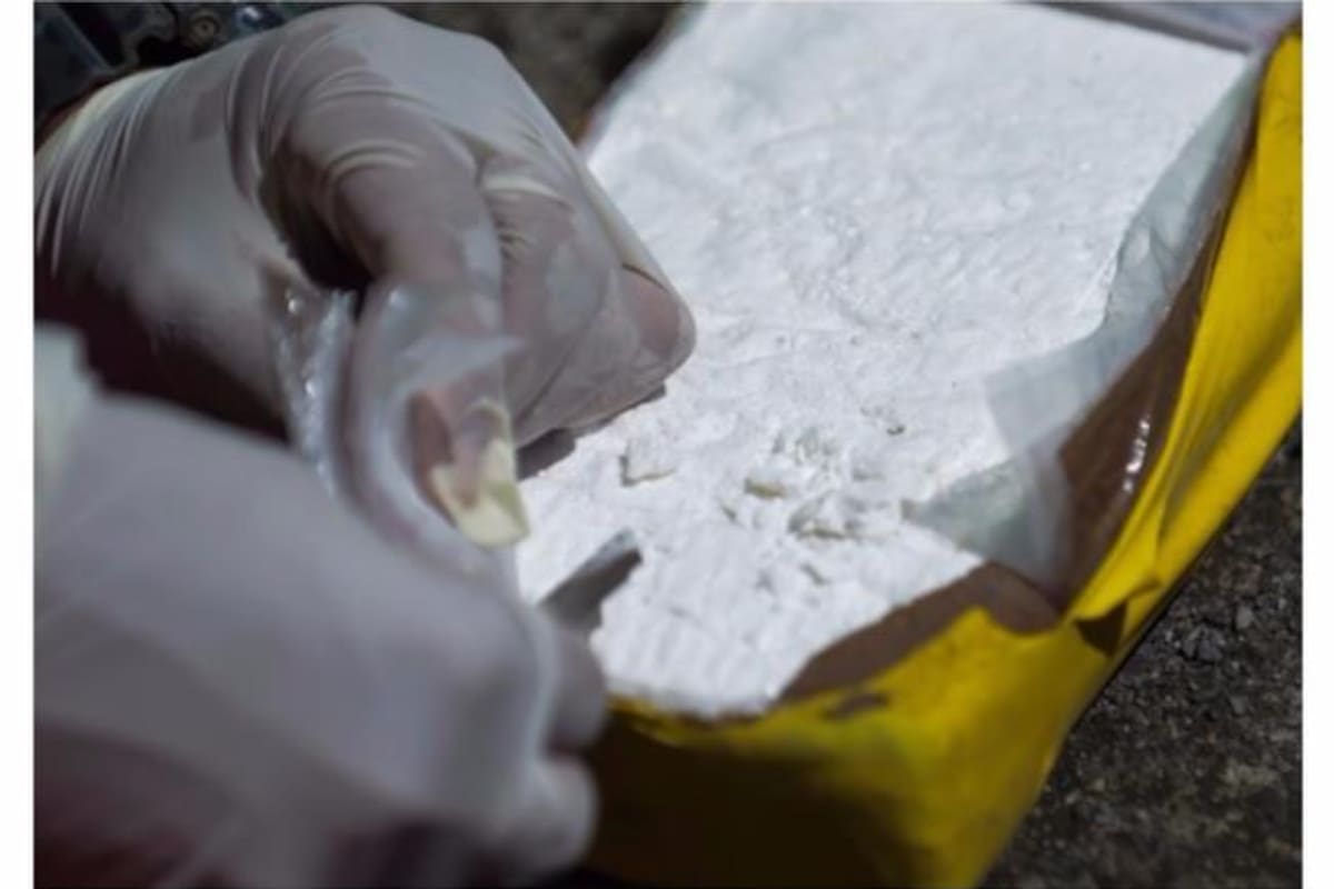Desmantelan laboratorio de cocaína del Clan del Golfo en Antioquia