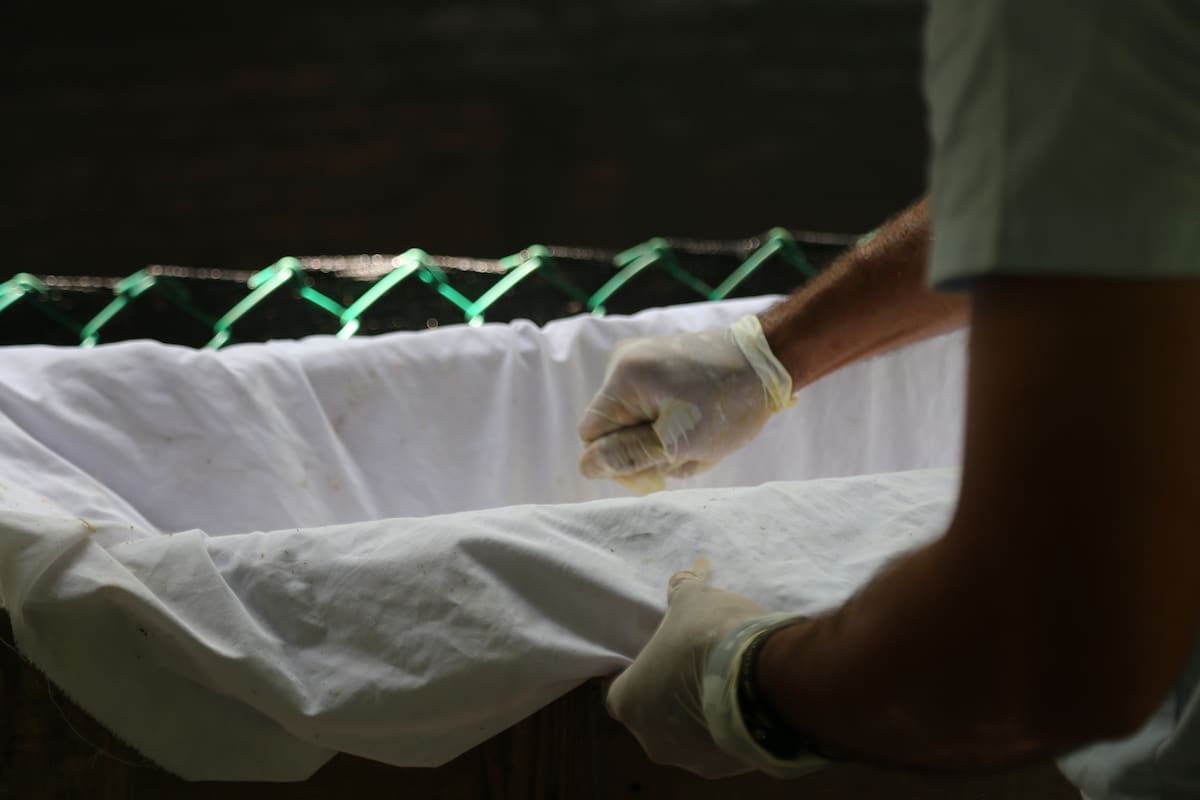 Policía incauta más de 2 toneladas de cocaína en el Quindío