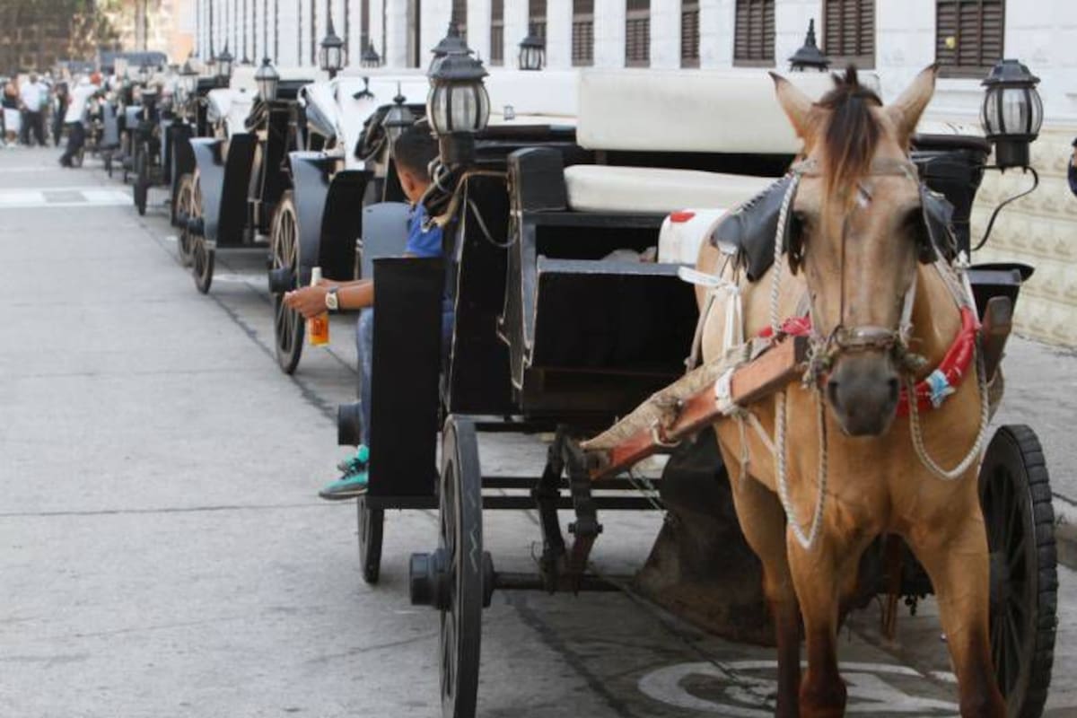 La millonada que piden cocheros para dejar sus caballos y usar carros eléctricos