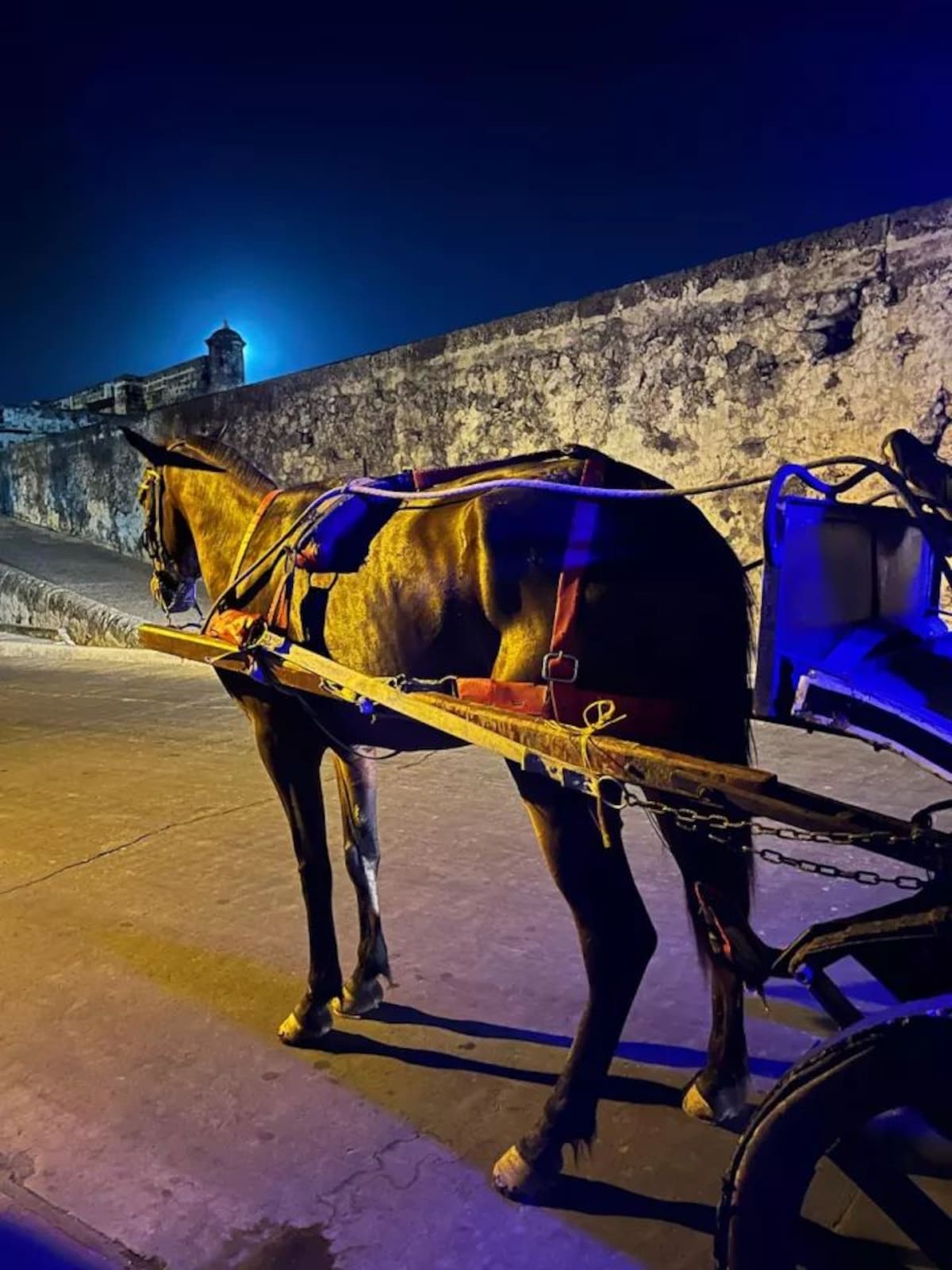 El Distrito resaltó que el control será con 62 carrozas. // Foto: Cortesía - Alcaldía de Cartagena.