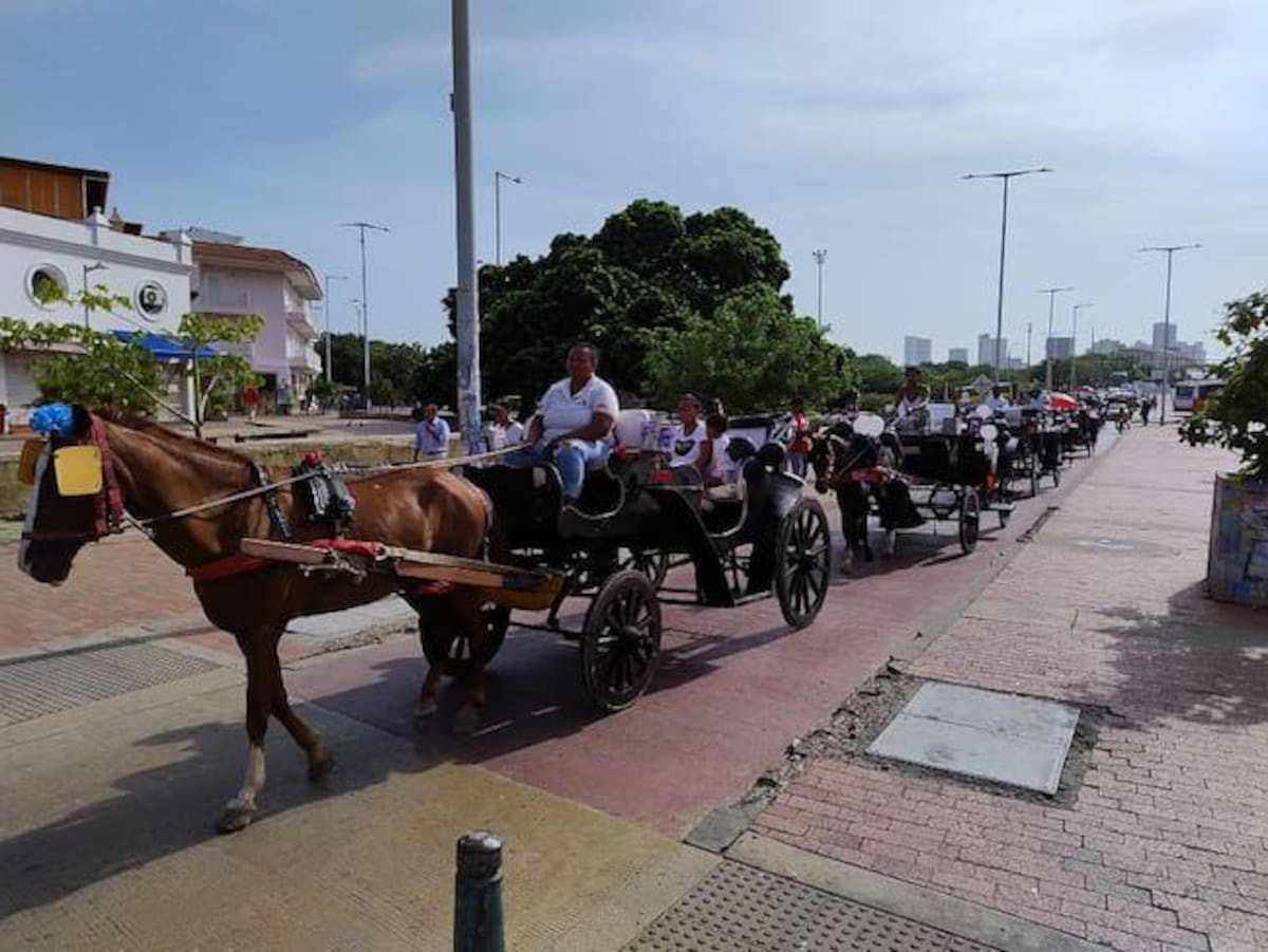 Coches con caballos en el Centro Histórico. // Foto: archivo - Alcaldía de Cartagena.