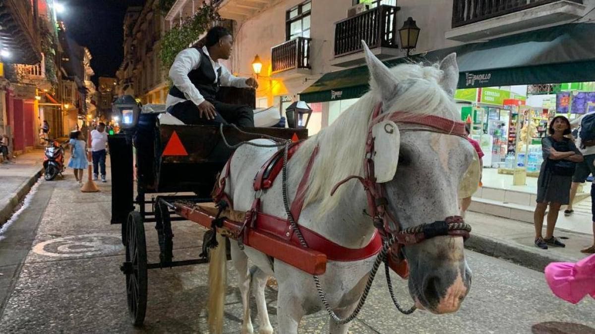 Alcaldía de Cartagena decreta prohibición de movilidad de carruajes en el Centro Histórico. // Foto: Cortesía - Alcaldía de Cartagena.