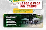 Alcaldía de Cartagena realiza jornada de trámites en Flor del Campo: Sisbén, Catastro y más sin filas