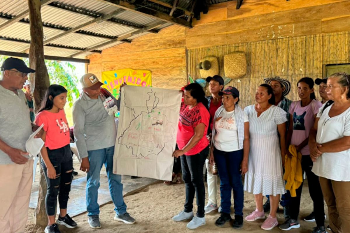 Anuncian $36 mil millones para el sector arrocero de La Mojana