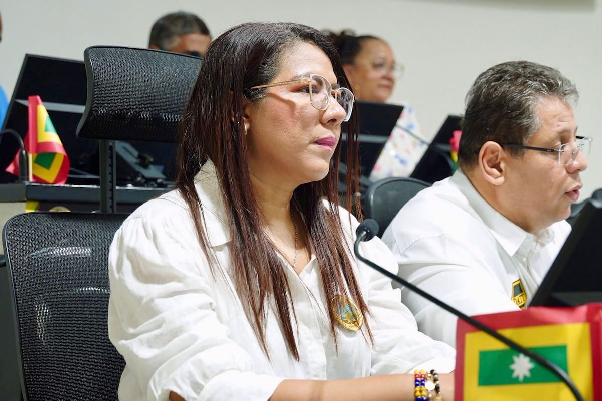 Lucelys Morales, directora financiera de Presupuesto, explicó el alcance financiero del proyecto en el Concejo Distrital. // Foto: Cortesía - Concejo Distrital.