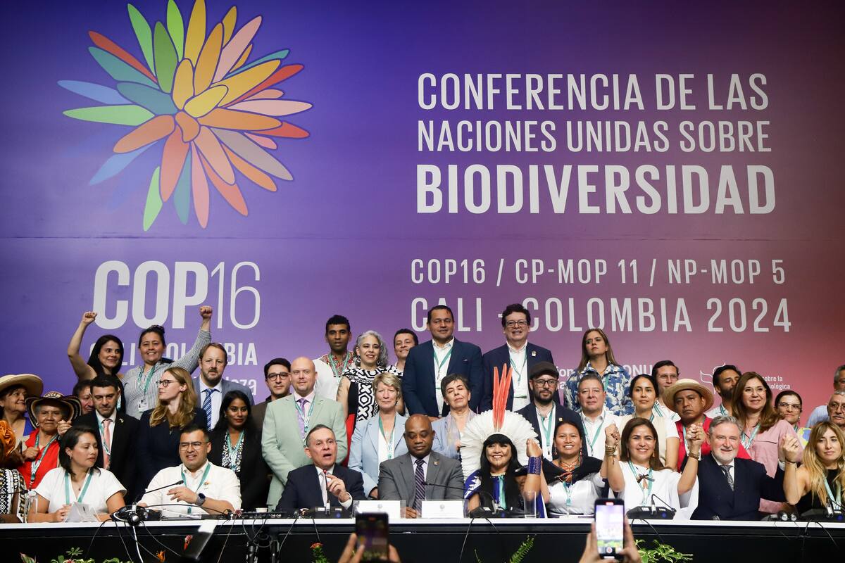 COP16 aprueba acuerdo para proteger la biodiversidad marina global