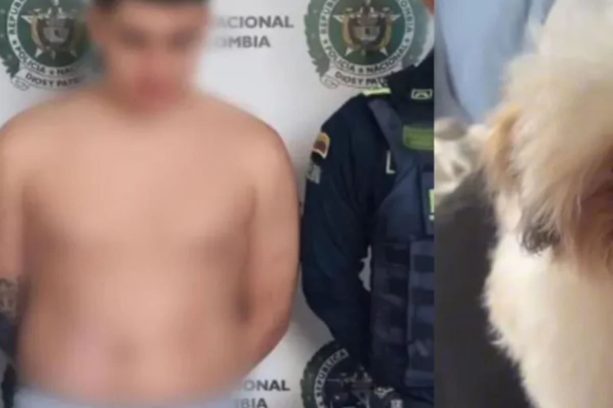 Judicializan a hombre acusado de lanzar a la mascota de su novia desde un octavo piso