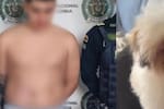 Judicializan a hombre acusado de lanzar a la perra de su novia desde un octavo piso