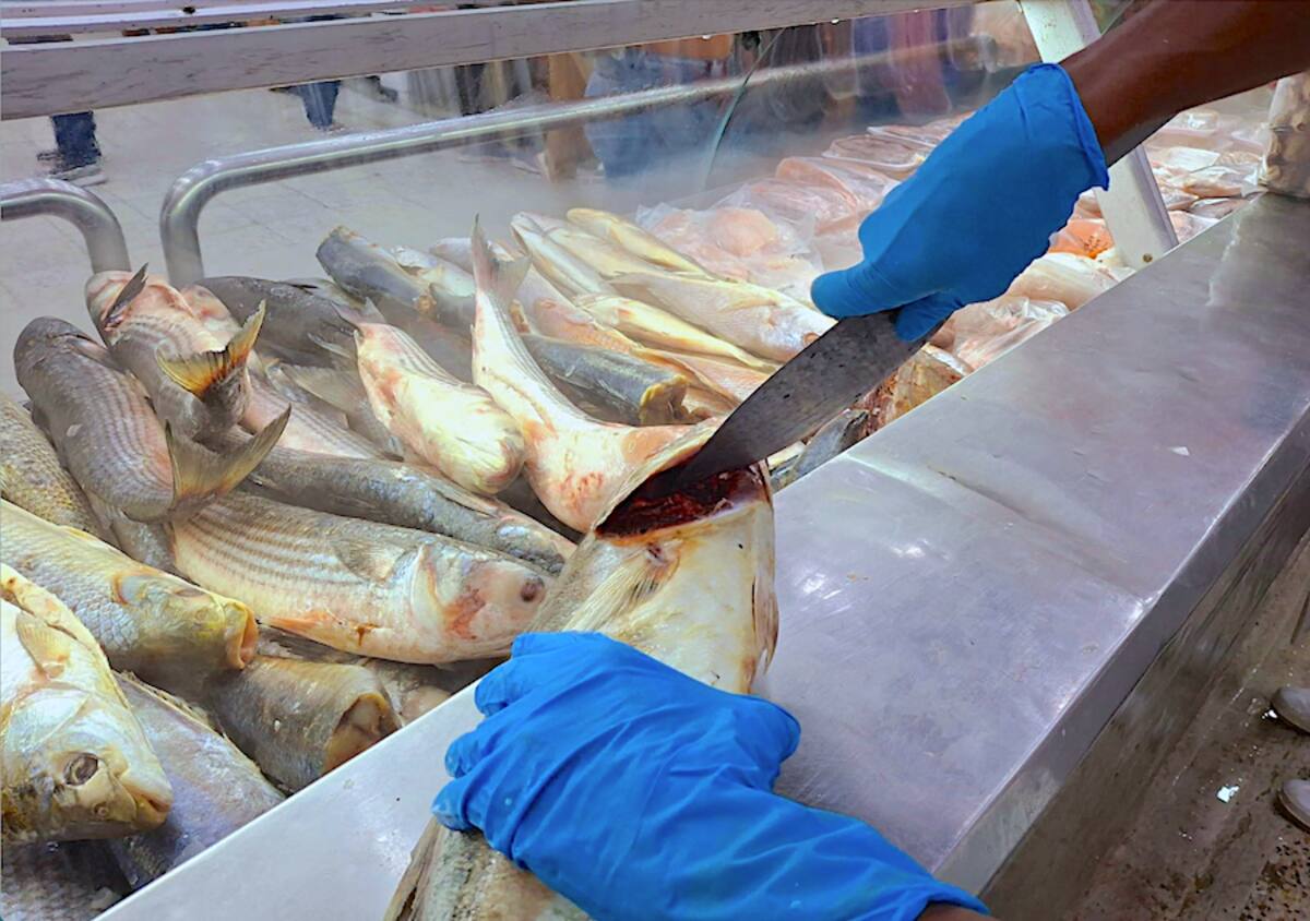 La Secretaría Distrital de Salud de Barranquilla hizo recomendaciones para se consuma el pescado que esté en buenas condiciones.//Cortesía Alcaldía de Barranquilla.