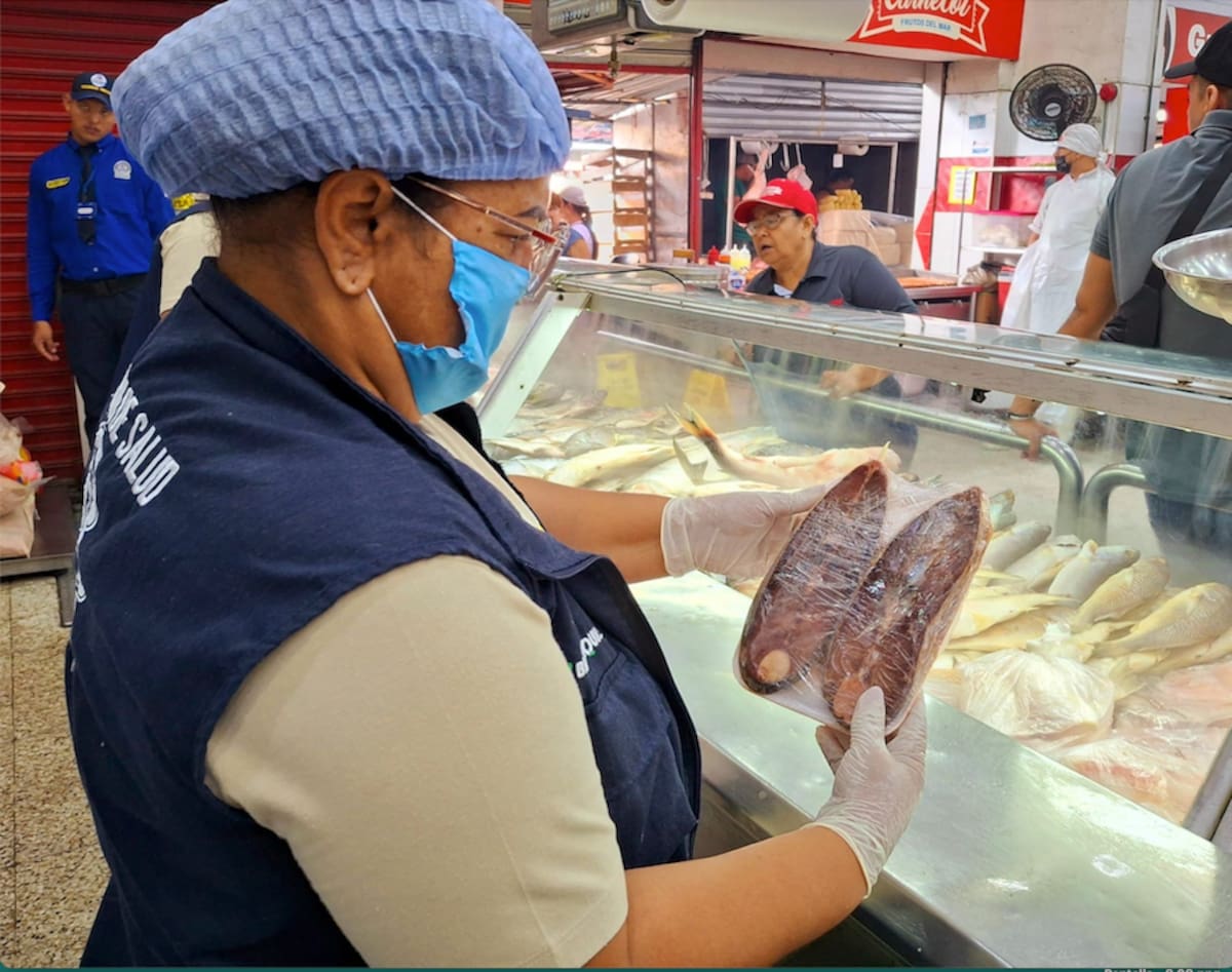 Entre las recomendaciones de la Secretaría Distrital de Salud de Barranquilla está la verificar que el pescado que se compre esté en buenas condiciones.//Cortesía Alcaldía de Barranquilla.