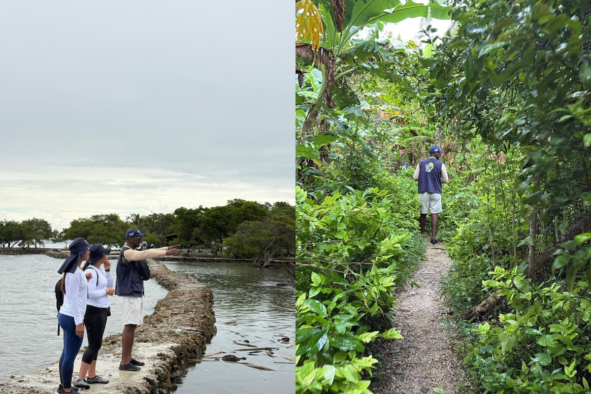 Fortalecen gestión ambiental en Isla Fuerte: acciones de control, vigilancia y educación