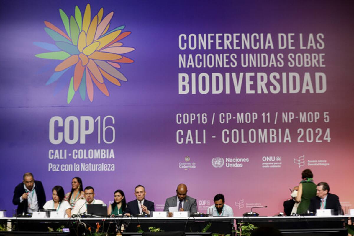 La propuesta que hizo el Gobierno de Colombia en medio de la COP16