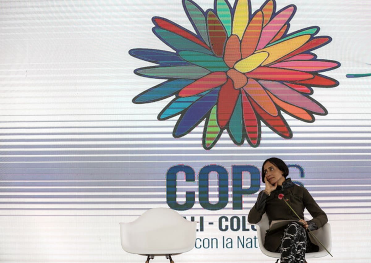 La ministra de Ambiente Susana Muhamad junto a la asociación COP16. // Foto: Colprensa
