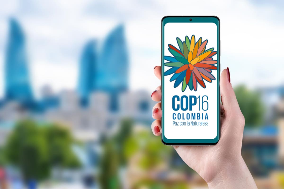 ¿Qué es la COP16 de Biodiversidad? cinco claves para entenderla