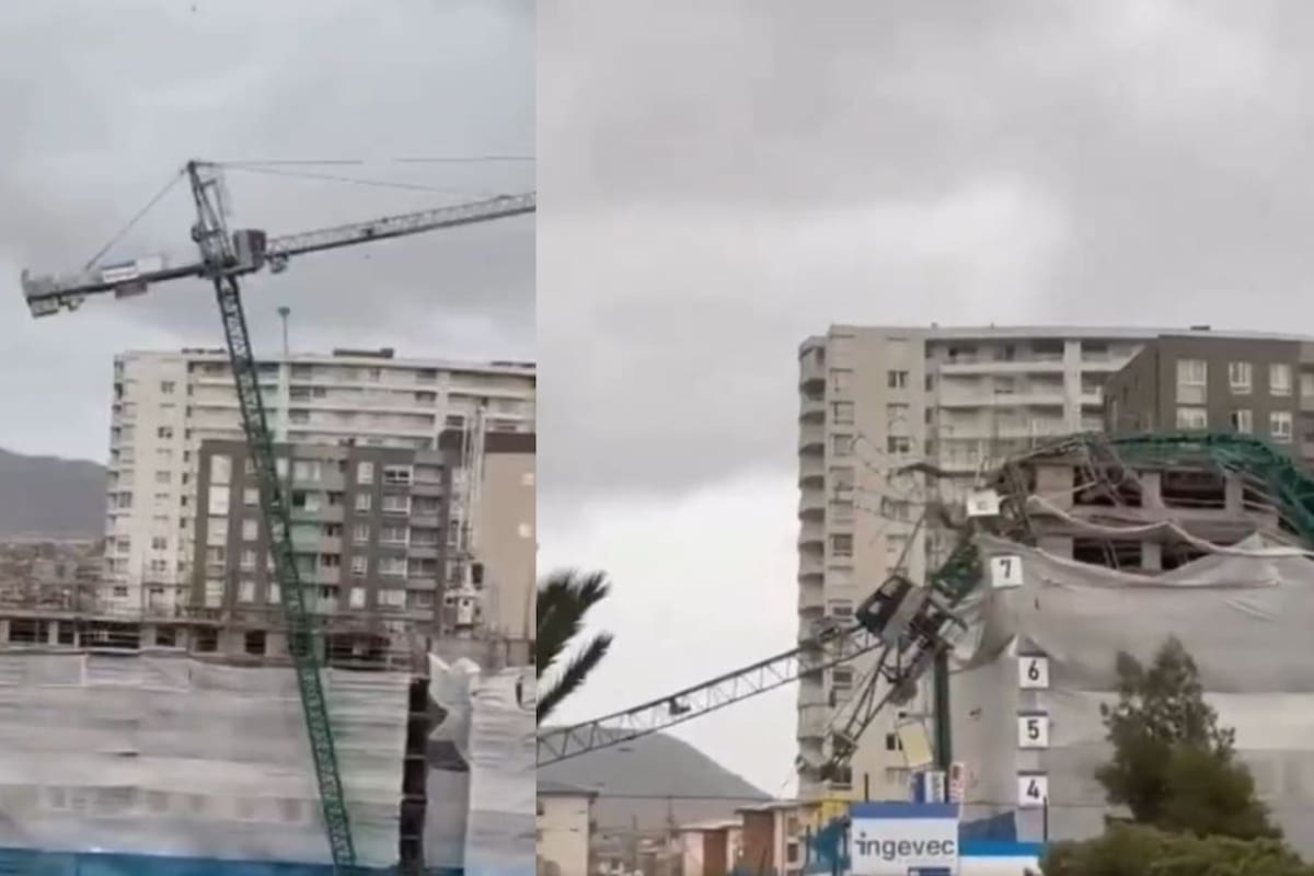 Video registró el momento en que grúa de construcción cae sobre varias casas