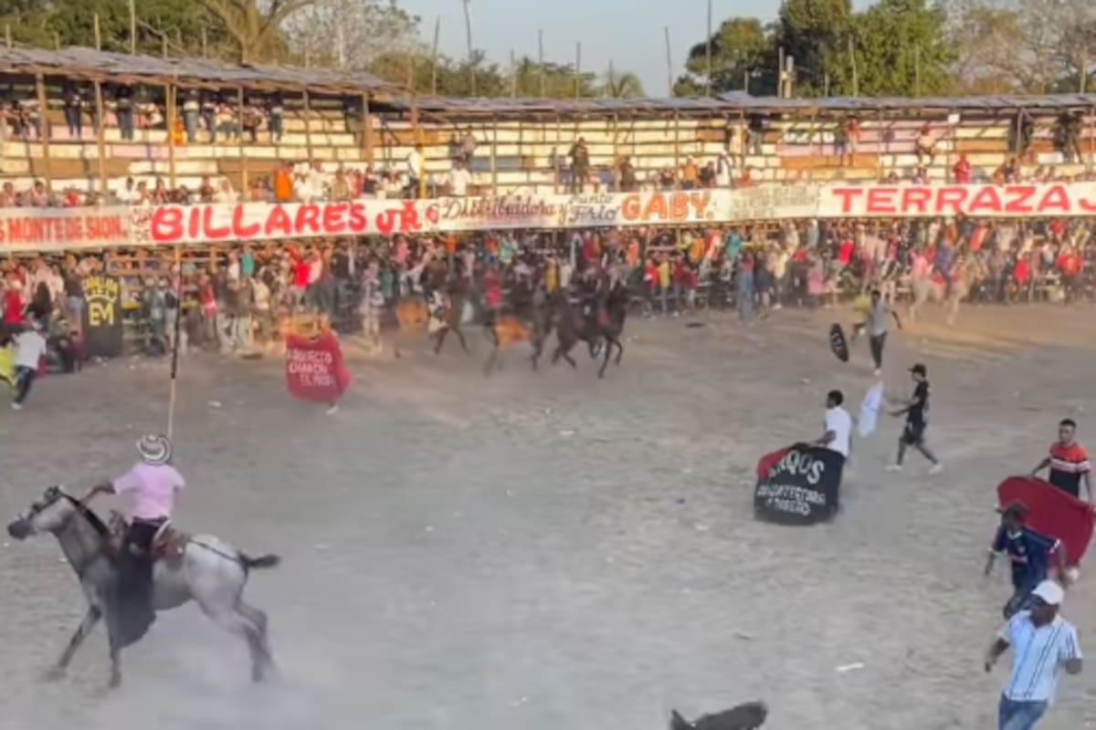 Video: toro le pasó por encima a banderillero y muere en corraleja de Bolívar