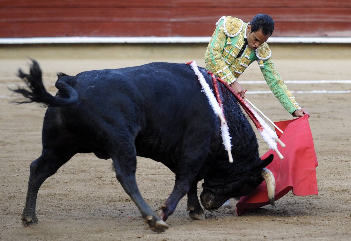 Luis Bolívar, el mejor torero colombiano del momento. COLPRENSA