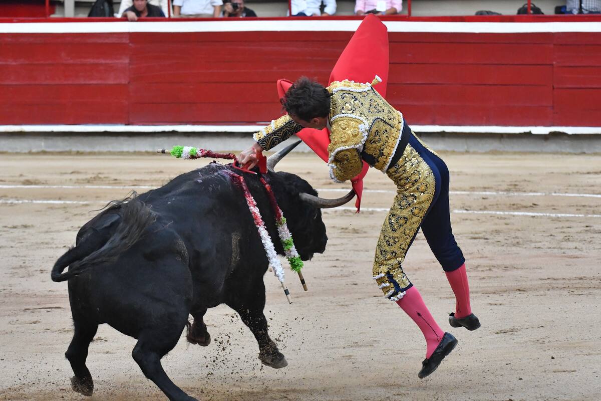 Video impactante: toro cornea a torero famoso y lo deja grave