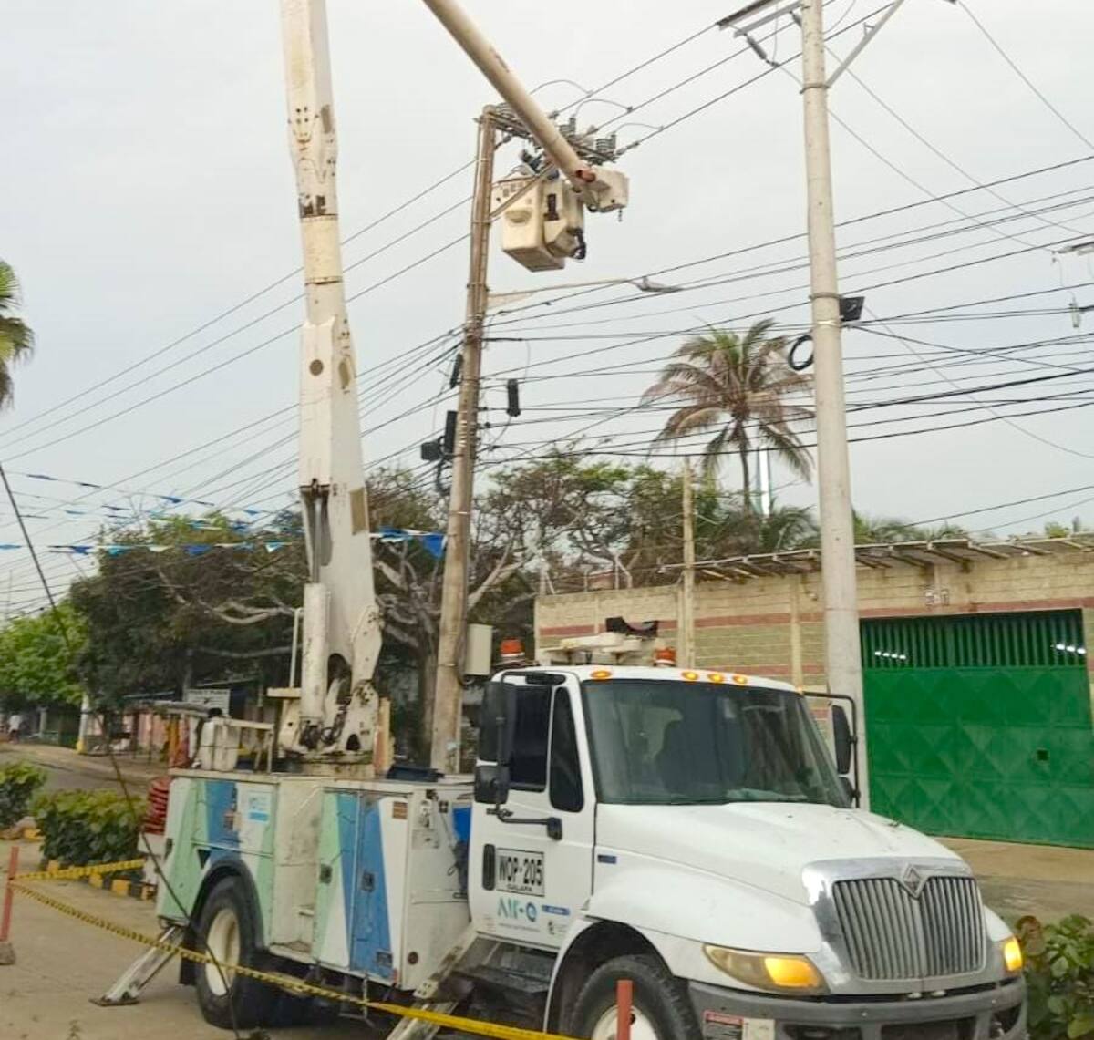 La empresa Air-e anuncia que este domingo 1 de diciembre ha programado algunos trabajos de poda de árboles en el municipio de Puerto Colombia.//Archivo.
