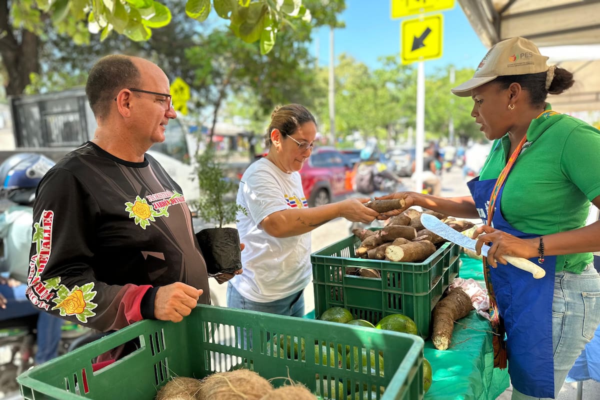 La cifra que dejó el mercado campesino “Cosechas de mi tierra” en Cartagena