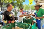 La cifra que dejó el mercado campesino “Cosechas de mi tierra” en Cartagena
