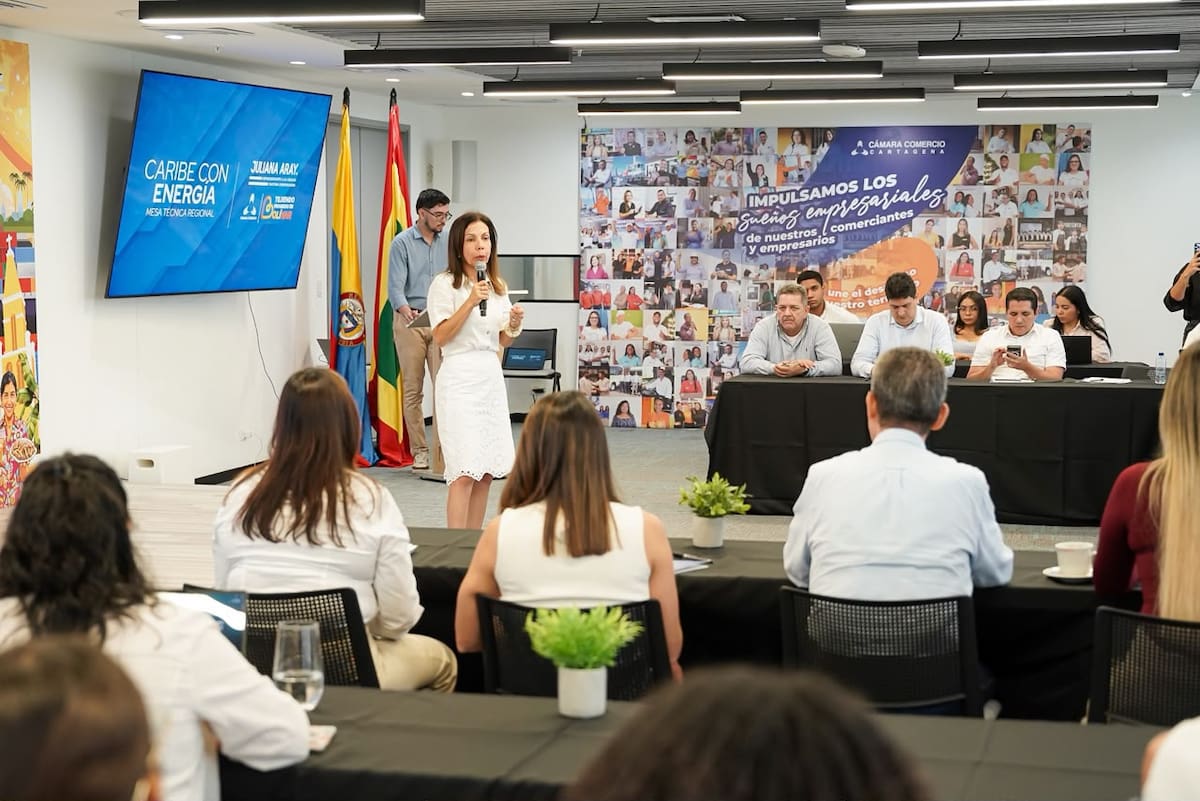 Caribe Con Energía: Mesa Técnica Regional, se realizó en Cartagena. // Foto: Cortesía - Prensa Juliana Aray