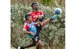 Liga BetPlay: día y hora del próximo partido del Junior de Barranquilla