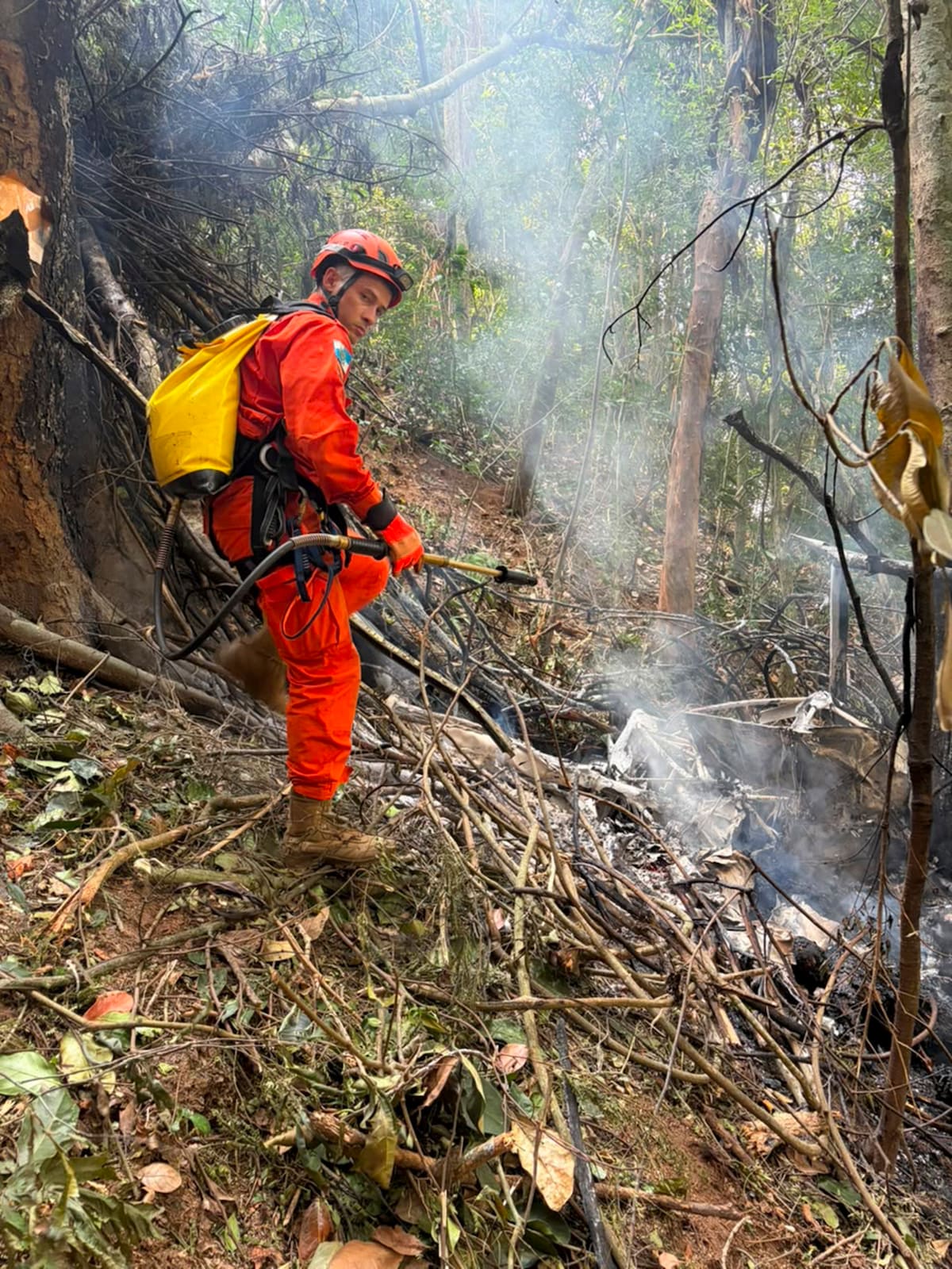 Bomberos atendieron la emergencia ocurrida en el Bosque de Tijuca, en Río de Janeiro. // Foto: EFE/ Cuerpo de Bomberos de Río de Janeiro