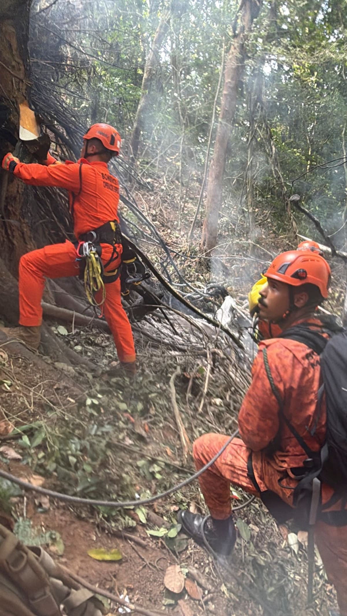 Bomberos atendieron la emergencia ocurrida en el Bosque de Tijuca, en Río de Janeiro. // Foto: EFE/ Cuerpo de Bomberos de Río de Janeiro