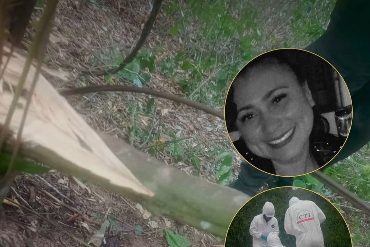 “Yulixa Toloza tenía heridas por arma blanca”: revelación de Medicina Legal