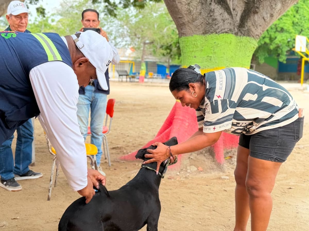 En estas jornadas también hubo vacunación de gatos y perros. // Cortesía: Alcaldía de Cartagena