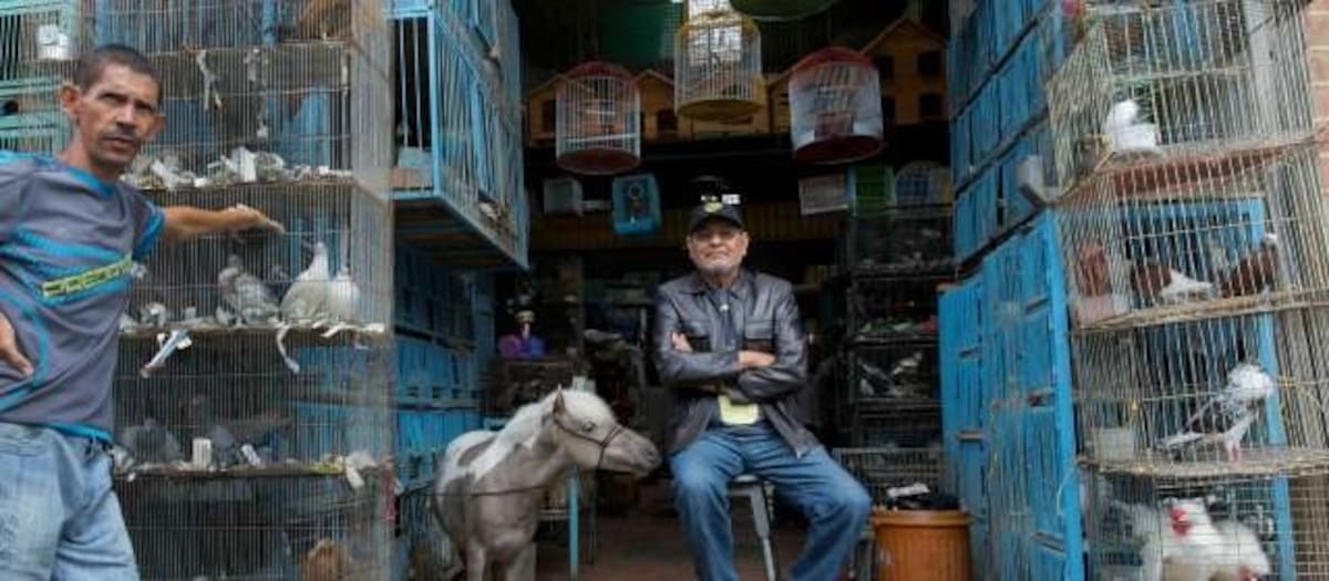 El fotógrafo argentino Daniel Mordzinski COLPRENSA